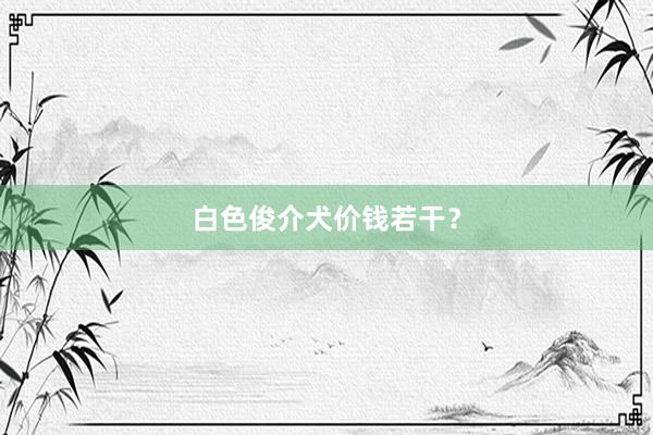 白色俊介犬价钱若干？
