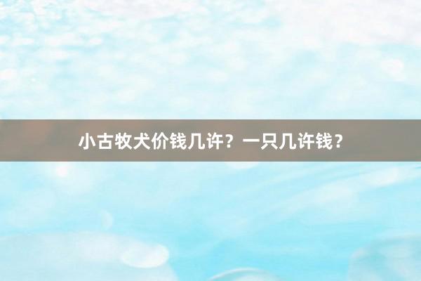 小古牧犬价钱几许？一只几许钱？